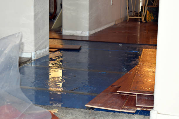 Professional Sewage Cleanup technician working in Flat Rock, MI