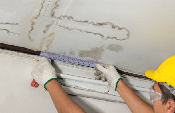 Reliable Sewage Cleanup contractor in Flat Rock, MI by Water Damage Irwin